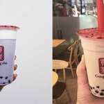 [댓글부탁해] 야 개 피싸움 터지는 추반하자 <b>Mi</b>쳤어;;