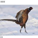 [드루와] 3월에 후리스 입을수있<b>낭</b>
