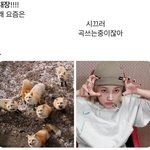 <b>섀도우</b> 팔레트 추천해줄 예쁜판녀?