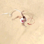 하이틴 주인공되고 싶은 판녀들 이 노래 꼭들어