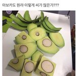 [19] 이런 애는 <b>바이</b>임?