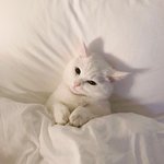 [드루와] 짝남 <b>존귀</b>네 ㅅㅂ