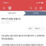 [댓글부탁해] 나 <b>진자</b> 손꾸락 아플만큼 글썼더... 관심 좀 가져조...