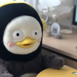 [드루와] 고3들있어?