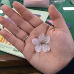 [댓글부탁해] 나 <b>손</b> ㅈㄴ <b>남자손</b>같음...