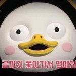 [댓글부탁해] 몽환의 숲 느낌이나 빠른 랩 좀 아는 사람 있나요...