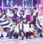 아이즈원 멤버들 무릎이 다 멍들었네