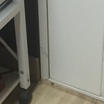 ㅅㅂ _같네 야 저거 어떻게 잡냐고 <b>신발</b> <b>신발</b>