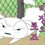 [드루와] 다이소 <b>구경</b>하다가 되게 예쁜 <b>사람</b>을 봤는데