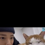 <b>스포츠</b>브랜드 맨투맨 예쁜 거 있음?