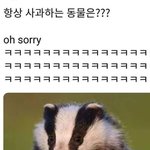 <b>퀴즈</b>: 맨날 사과하는동물은?