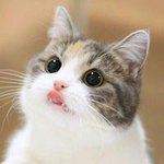 아 틱톡 ㅈㄴ 빡치네 ㅋㅋ