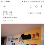 대학교 합격하면 <b>플랜</b>카드 해달라고 하고싶은데