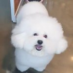 [드루와] 야 나 4만원잌ㅅ는데 지금