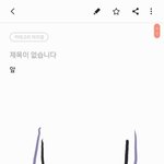 [이것좀봐줘] 이 머리 뭔지좀 알려줘ㅜㅜㅜ