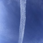 지금 코로나만큼 심각한 게 뭔지 알아?