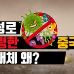 1월말에 대구에 중국인관광객 엄청 왔었대요
