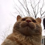 나진짜 진지하게 자살생각하고 있어