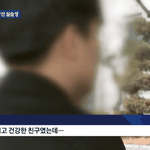 [이것좀봐줘] 주검으로 돌아온 젊음…휴대전화에는 말 못한 고민이