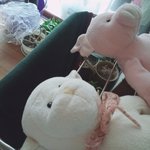 내 인형 개귀엽지??