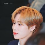 [하성운] 하성운ᰔ 하성운ᰔ 하성운ᰔ 하성운ᰔ 하성운ᰔ  하성운ᰔ