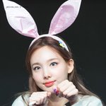 이<b>토끼</b> 저<b>토끼</b> 다잡은 아이돌