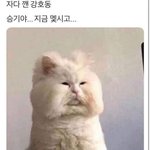 [댓글부탁해] 얘두라 <b>쌍테</b> <b>쌍</b>액 추반 좀