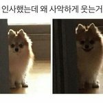 [19] 얘들아조카급한데 아이폰도 전체삭제안보임??