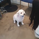 [EXO] 야 <b>비비</b> 왜이렇게 예뻐졌냐