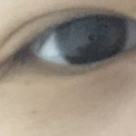 [조언부탁해] 내눈 강아지가터?