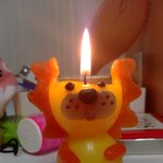 판녀두라 ~~ 울 강쥐볼<b>랭</b>?