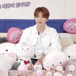 [강다니엘] <b>아오</b> 시끄러워ㅋㅋㅋㅋㅋㅋㅋㅋ