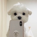 [드루와] 오늘 <b>아점</b> 메뉴 ㅊㅊ좀해줄사람