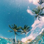 [ㅈㄱㄴ] <b>활발</b>한 남자한테 대쉬 당해봄?ㅋㅋㅋ