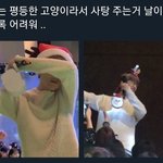 [NCT] 아 이거 너무 귀엽지 <b>않아</b>?ㅜ