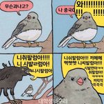[드루와] 너네 판 예전에 나이<b>제한</b> 있었던거 앎?
