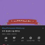 [드루와] 밤하늘<b>이님</b> 아냐