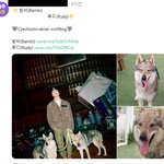 [NCT] 아앙너무귀여워ㅜㅠ