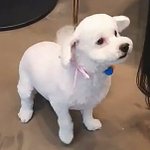 <b>무쌍</b>마스카라 추천좀