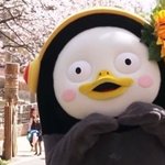 <b>현타</b>온다는게 어떤감정이야?