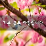 [좋은생각] 기분 좋은 아침입니다~