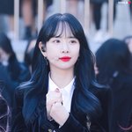 나 정시 파는 게 맞겠지