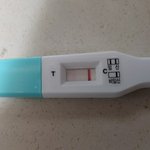 [조언부탁해] 임테기 이거 <b>두</b><b>줄</b>인거야???