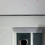 [19] 나 <b>솔직</b>하게 운동 안했는데