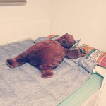[드루와] <b>비오</b>는 소리 개좋앙 ㅜ