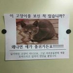 [드루와] 중1도 <b>수련</b>회 가?