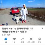 [강아지] 재밌게 봐주세요