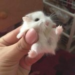 요즘 코로나 관련 꿈 ㅈㄴ많이 꾸는듯