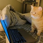 [댓글부탁해] <b>대남</b>병원은 뭔데 확진자 왜이리 많아??