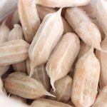 너네 <b>꼬물</b>이만두 좋아해??